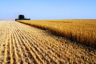 futureagriculture