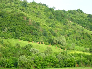 Romanian landscape