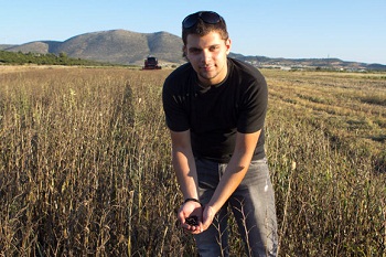 gmo_nestory_agrotis_koukia
