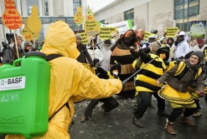 bee action in Germany