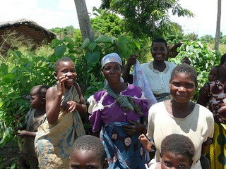 Agroforestry images