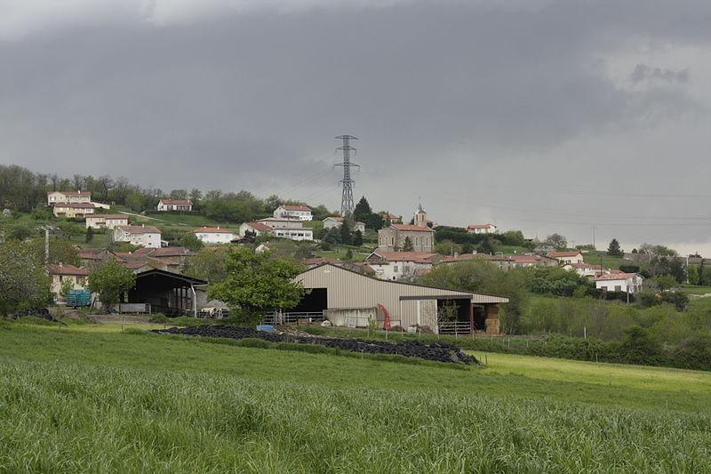 Dizimieux_depuis_un_chemin_à_l'ouest_du_hameau