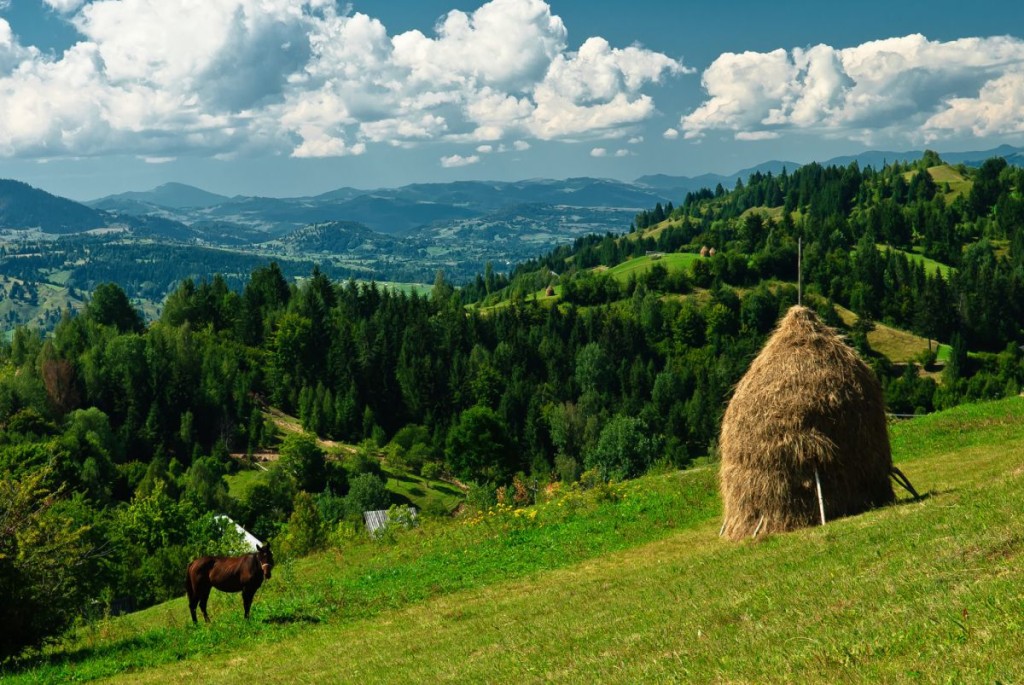 romania countryside 2