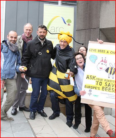 ARC2020 campaigning for bees 2013