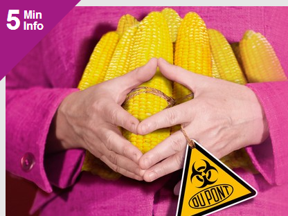 merkel-corn1