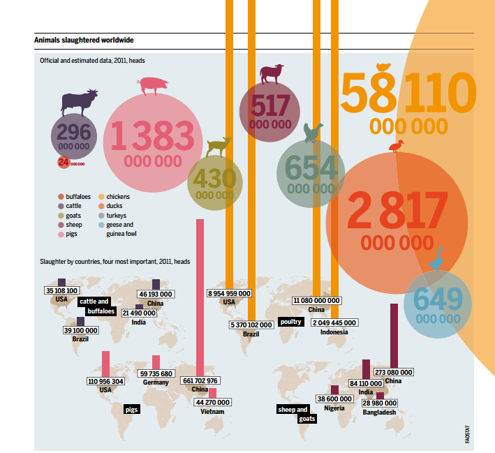 International Meat Altas - animals slaughtered worldwide per head, 2011