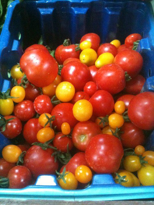a small veg 2
