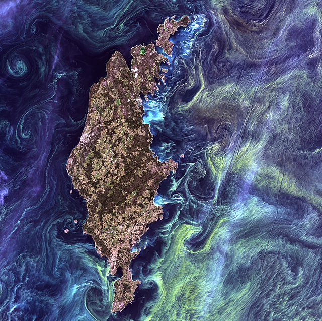 algae bloom baltic sea Van Gogh island (c) NASA
