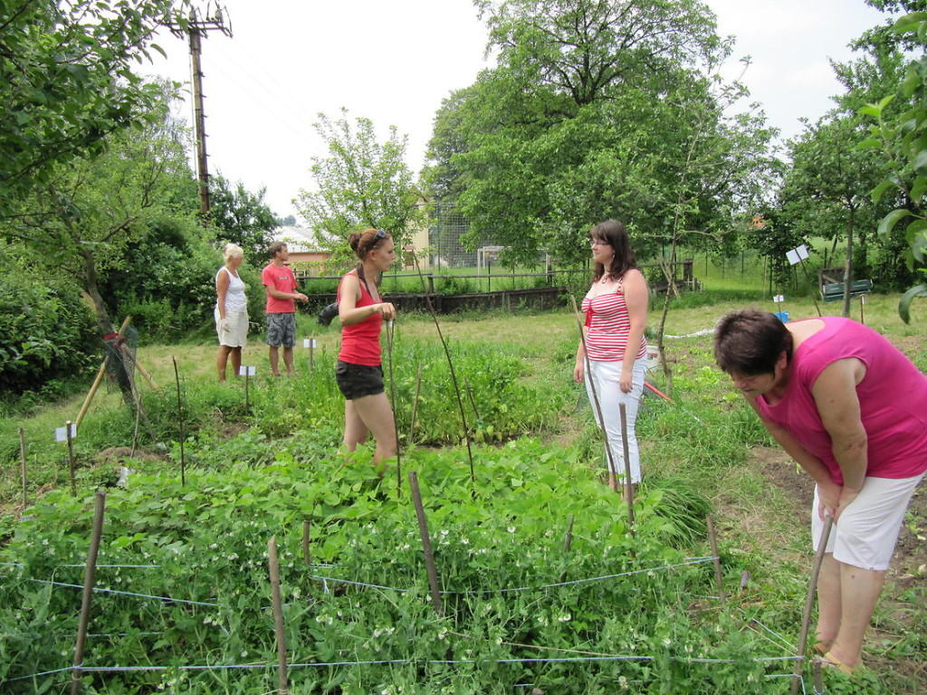 Community Garden Blahutovice