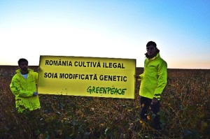 Greenpeace_soia_1_res