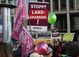 landgrabbing