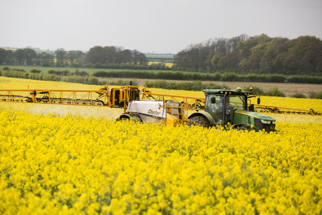 Oilseed rape fields are sprayed with neonicotinoids. (Photo: Chafer Machinery/flickr/cc)