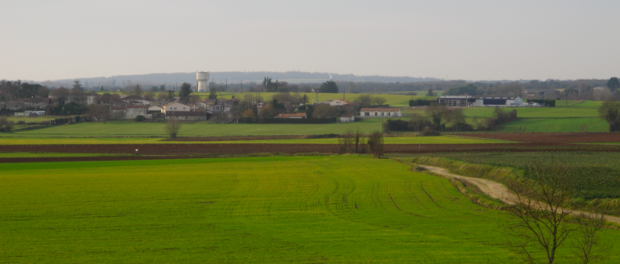 1024px-fields-IMG_3613