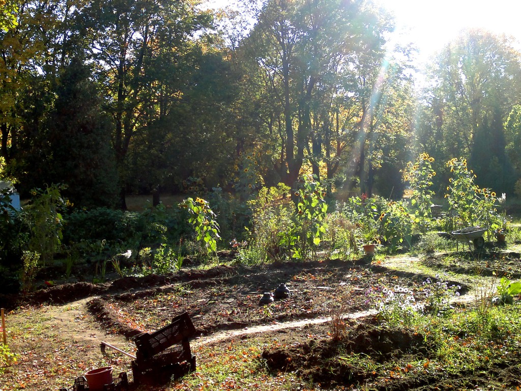 Sea of Flowers Garden Berlin