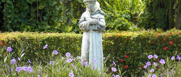"wait for me while I go to preach to my sisters the birds" St. Francis of Assisi patron saint of ecology