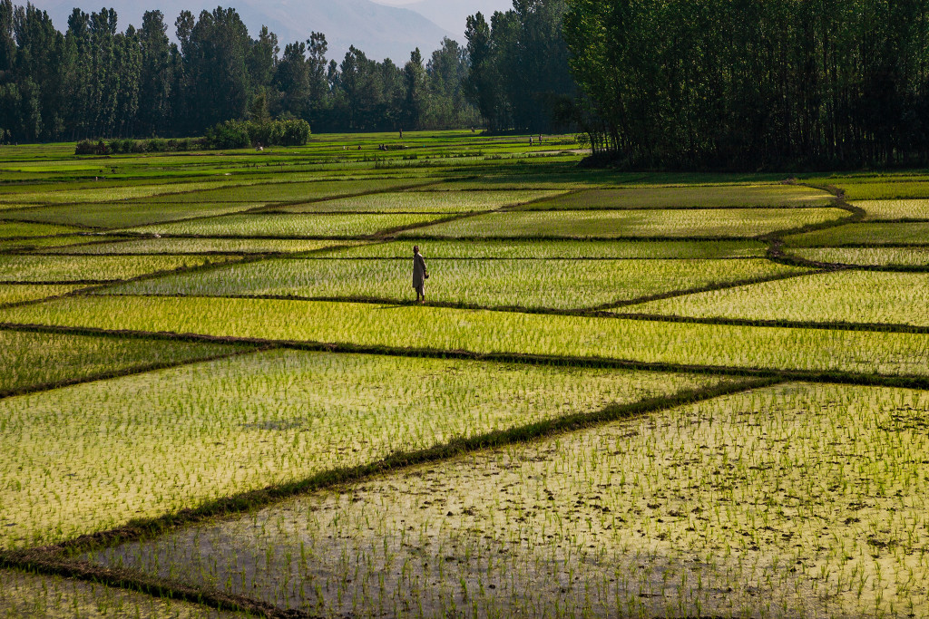 photo by Sandeep Achetan "Train journey from Srinagar to Anantnag, Kashmir, India" CC BY-NC-ND 2.0