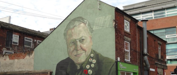 David Attenborough mural on Charles Street, Sheffield.