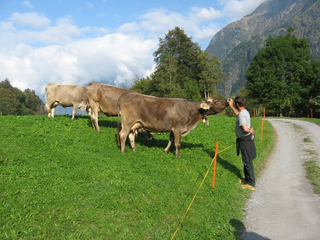 farmland-as-commons