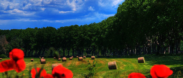 CAP, France, Agriculture