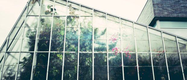 city farm, urban farm
