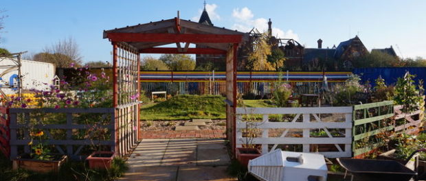 city farm, urban farm,