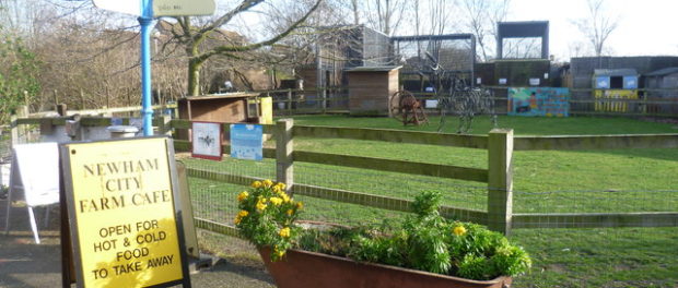 city farm, urban farm