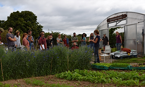 Future Growers Scheme at Riverford Wash Farm, Devon. Picture: Soil Association.