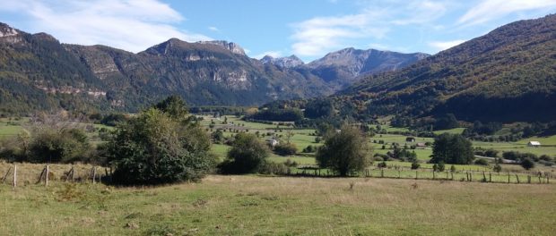 navarre, Spain, CAP