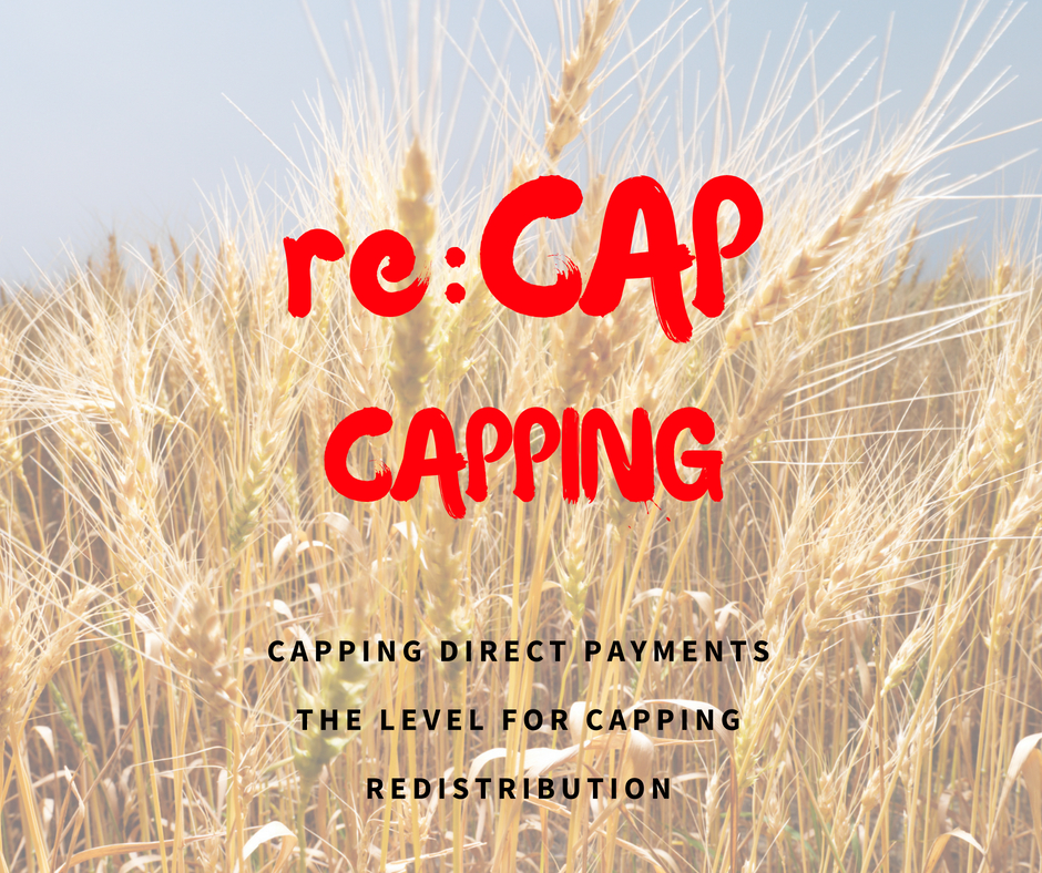 Cap direct payments shop
