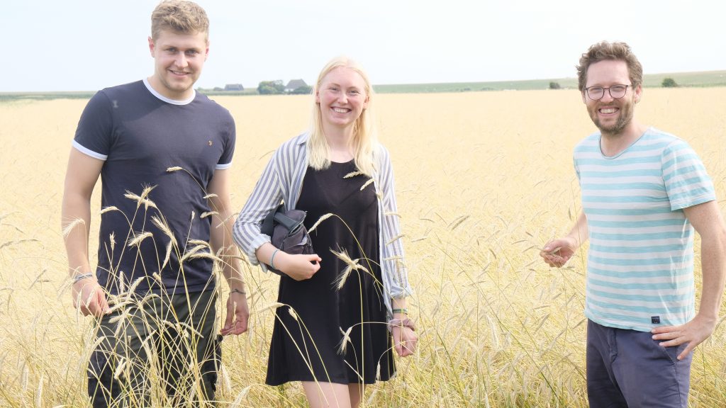 Young farmers couple Jan Gonne and Pauline with Schleswig Holstein Minister for Agriculture Jan Philipp Albrecht, catching the rye