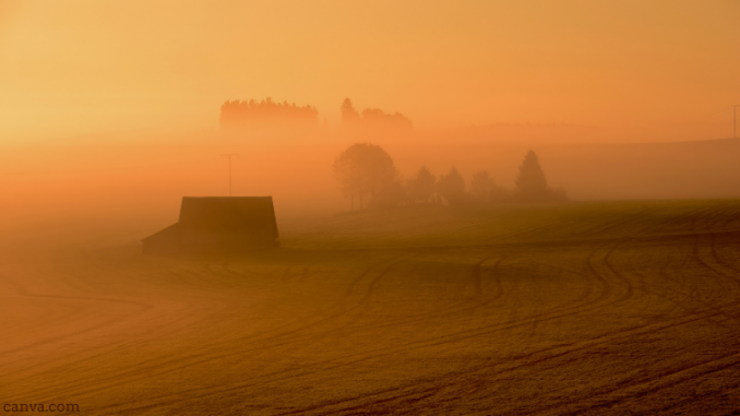 field-in-autumn-Baden-W%C3%BCrttemberg-Germany-678x381.png