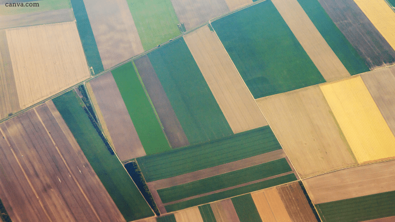 Aerial view of agriculture fields in the Netherlands