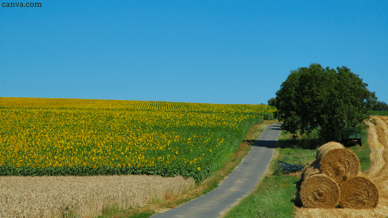 Rural scene in Germany
