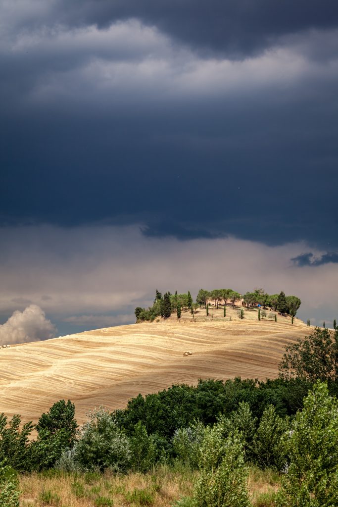Field in Tuscany: unsplash.com