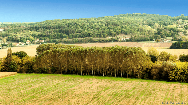 Agriculture in Aquitaine, France