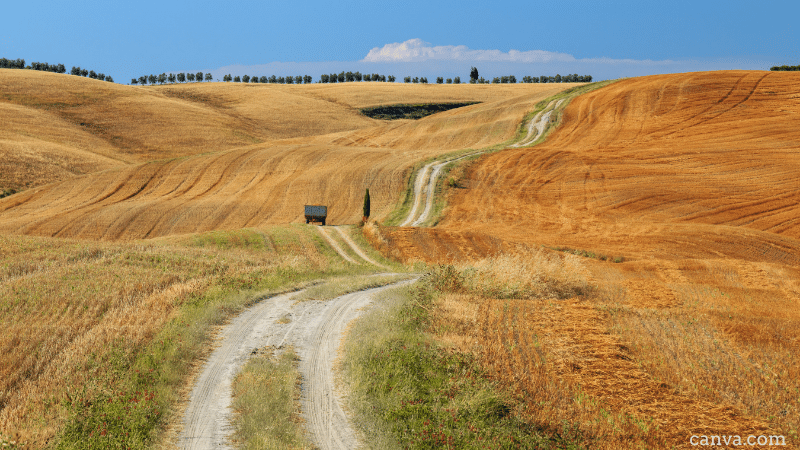 Fields in Tuscany, Italy: canva.com