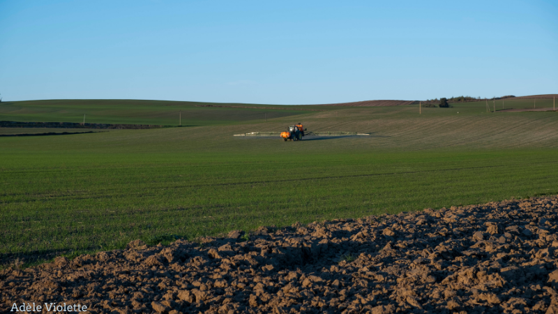 Pesticides on field: Adèle Violette