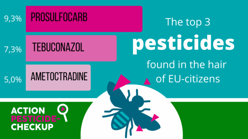 most common pesticides found in EU citizens hair
