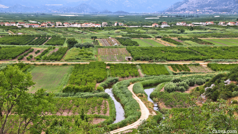 Neretva delta, Croatia