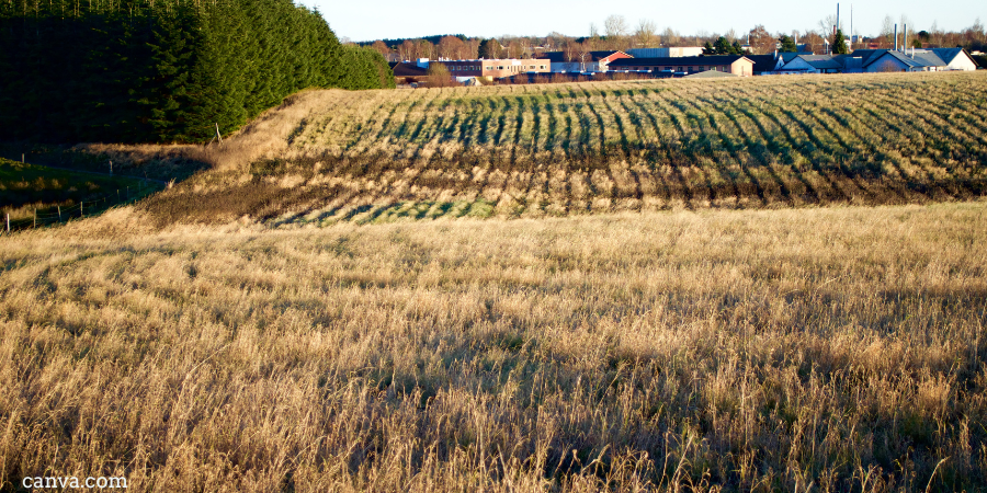 A Winter field in Denmark