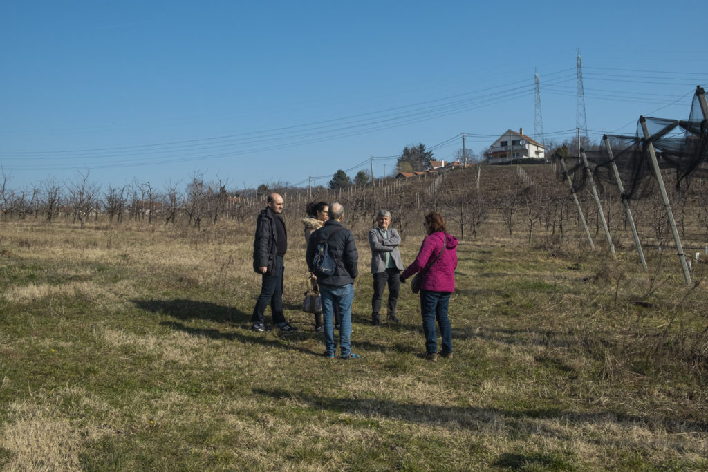 Visit to the fields cultivated by the Faculty of Agriculture of the University of Belgrade © Adèle Violette 
