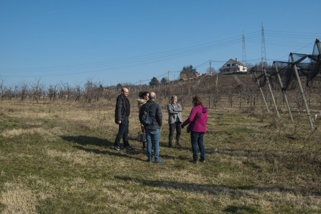 Visit to the fields cultivated by the Faculty of Agriculture of the University of Belgrade © Adèle Violette