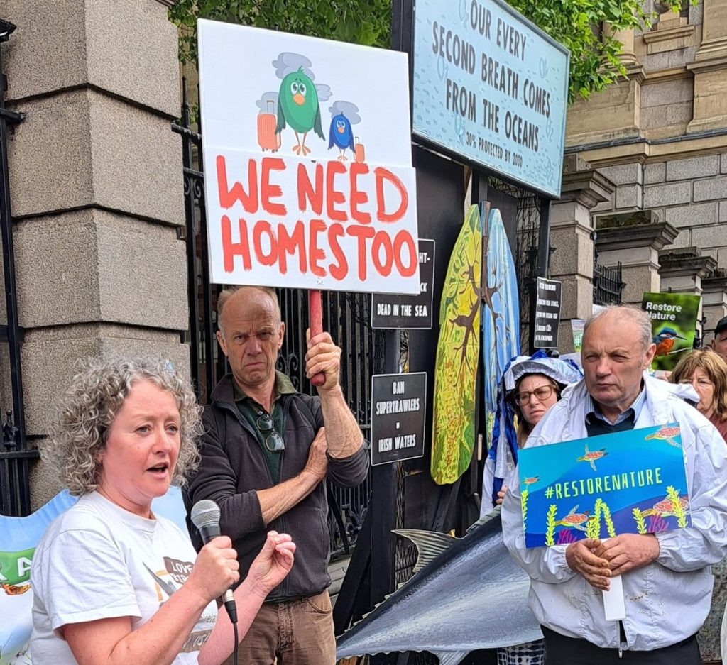 Oonagh Duggan of Birdwatch Ireland (member of Birdlife Europe and Central Asia) at the Nature Restoration Law event outside the Irish Parliament on 31/05/23. " The Nature Restoration Law is a once in a lifetime opportunity to turn this around...our amazing farmers give us the most hope"..."we might loose this nature restoration law in the next two weeks. We need politicians to help us back nature.