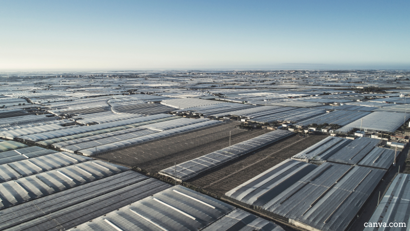 Greenhouses in Almeria, Spain