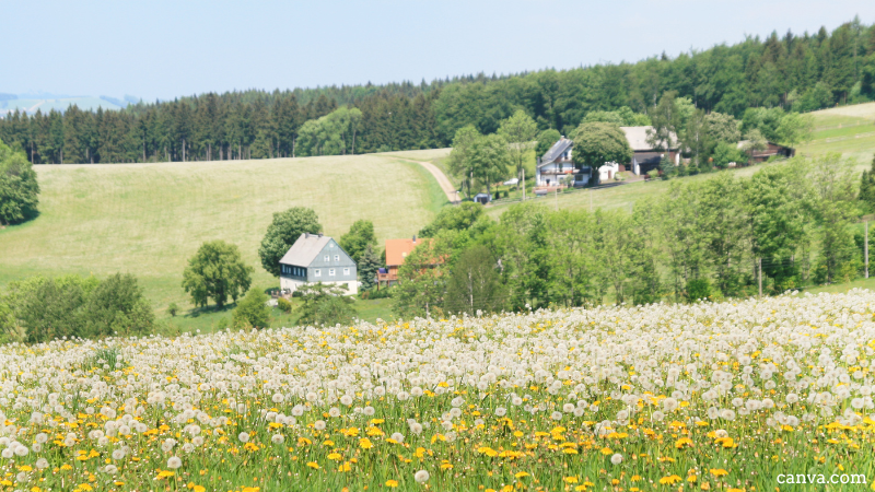 Rural landscape in Germany