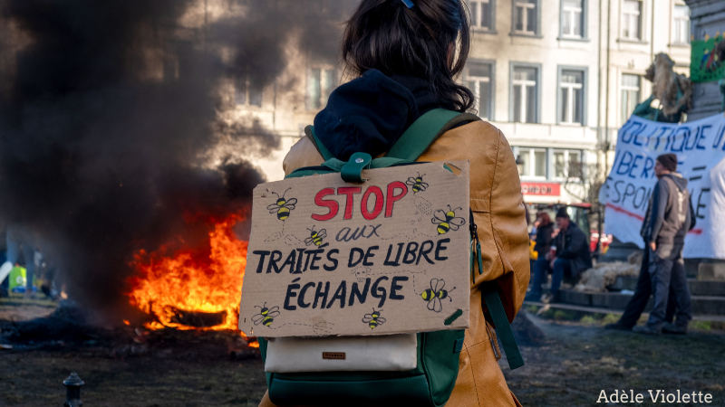Brussels-farmers-protest-1_feb_2024_1.png