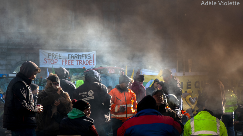 Farmers protesting 1 February, Brussels: Adèle Violette